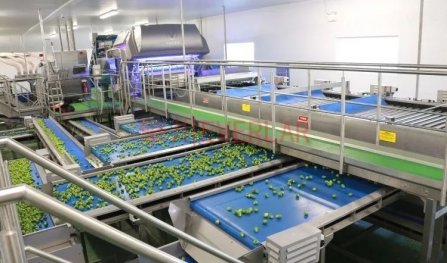 農業上適合使用哪一種（zhǒng）輸送帶？